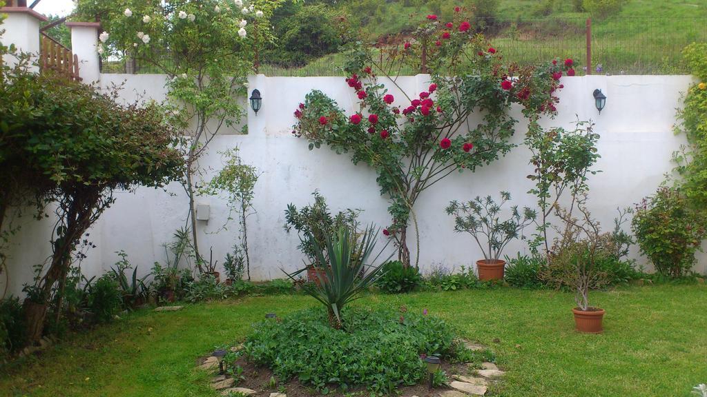 Petrovi Guest House Obzor Kültér fotó